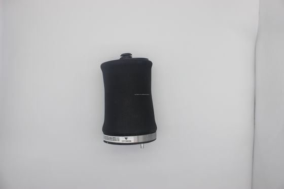 Molas de suspensão pneumática padrão OE para BMW X5 E53 traseira à esquerda 37121095579 37121095580